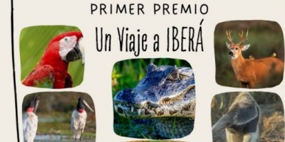 Un viaje a Iberá será el primer premio del concurso audiovisual: “Tres minutos de fama por el Ambiente”
