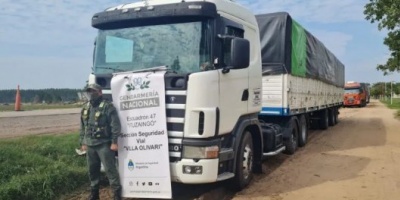 Corrientes: En una semana, Gendarmería incautó más de 300 mil kilos de granos transportados ilegalmente