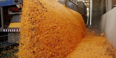 Agroexportadores liquidaron US$ 1.600 millones en las primeras semanas del nuevo dólar soja