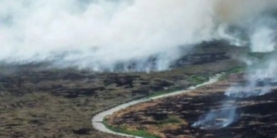 Se incendia el Iberá: desgarradoras imágenes de cómo quedó el portal Carambola