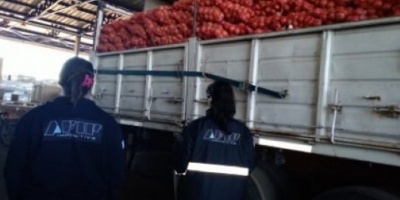 AFIP incautó toneladas de soja y cebolla en Corrientes y Misiones valuada en más de 11 millones de pesos